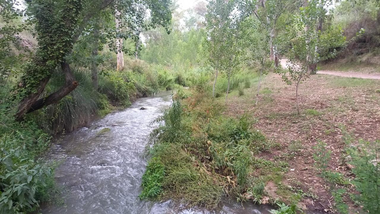 Casajulis Chelva